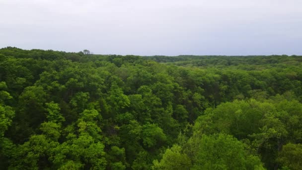 Beautiful Nature Scenery Lush Green Forests America Midwest State Missouri — Αρχείο Βίντεο