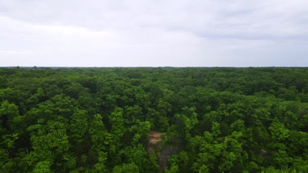 Beautiful Ecosystem Lush Green Trees Columbia Missouri Forests Aerial — Vídeos de Stock