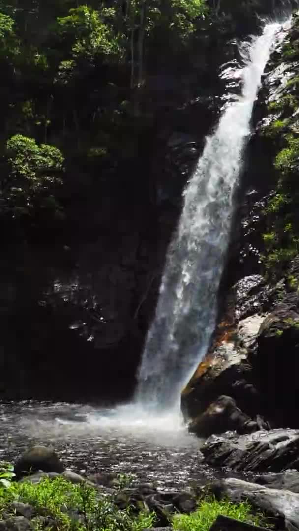 Water Flows Creek Scenic Tagu Waterfall Vietnam Vertical Shot — Stockvideo