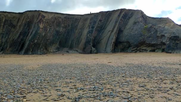 Tall Slate Rocks Aligned Vertically Forming Cliff Few Metres High — Stockvideo