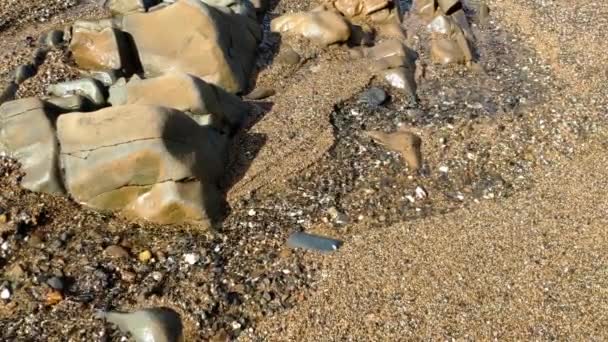 Close Small Water Stream Beach Flows Sea Some Rocks Has — Vídeo de stock