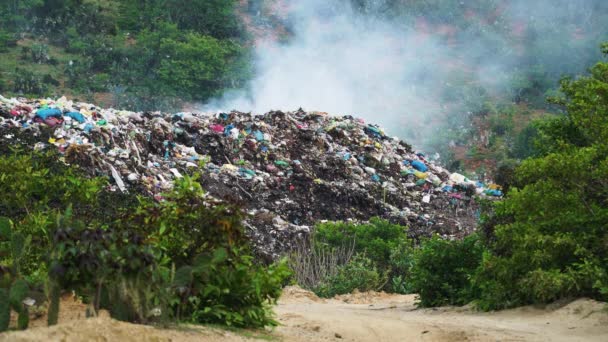 Close Heap Smoking Rubbish Open Air Dump Middle Forest Static — Vídeo de Stock