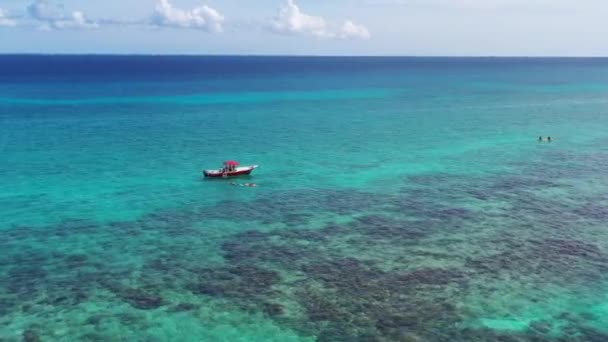 Snorkelling Playa Del Carmen Beach — Vídeos de Stock
