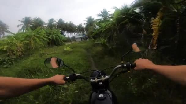 Journey Beautiful Palm Trees Jungle Gropro Shot Riding Motorbike Jungle — Stockvideo