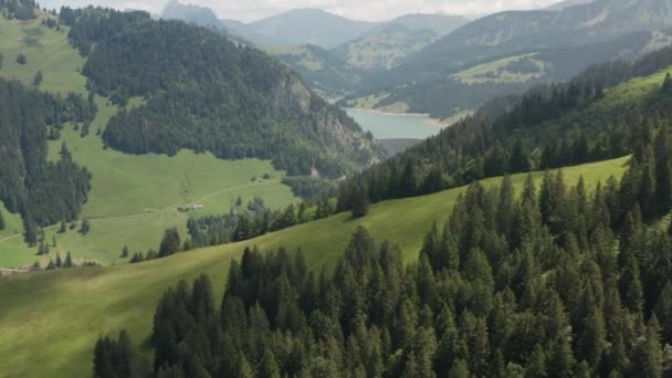 Aerial Beautiful Green Hilly Landscape Switzerland — Wideo stockowe