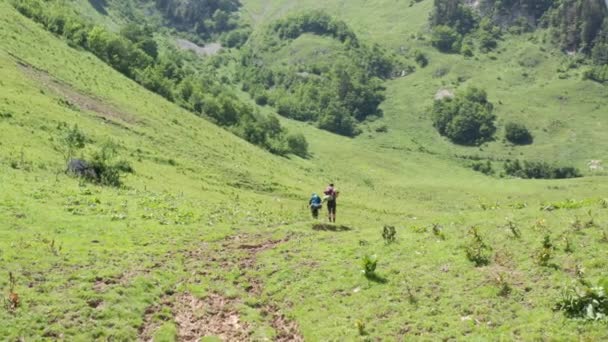 Two Hikers Standing Beautiful Swiss Landscape Pick Direction Start Walking — Stockvideo