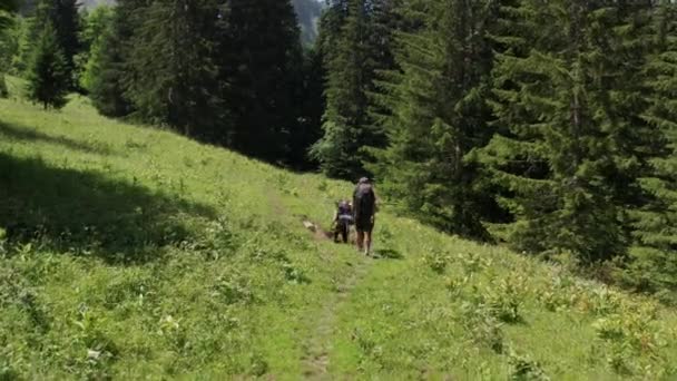 Group Hikers Trekking Beautiful Green Landscape — Stockvideo