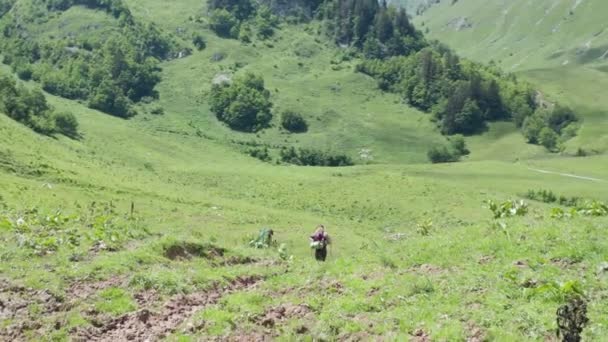 Two Hikers Walking Downhill Beautiful Swiss Landscape — Vídeo de Stock