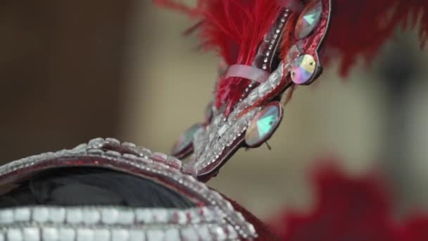 Κοντινό Πλάνο Αξεσουάρ Της Κόκκινης Βασίλισσας Έννοια Lgbt Και Transgender — Αρχείο Βίντεο