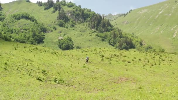 Moving Two Hikers Walking Beautiful Swiss Landscape — Vídeo de stock