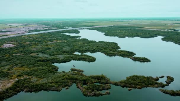 Joya Lake Joya City Texas Rio Grande Valley — Wideo stockowe