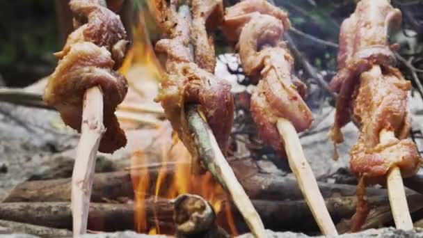 Barbecue Meat Skewers Cooking Open Fire Camping Woodland — Stockvideo