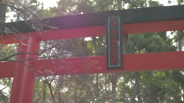 Red Gate Japanese Written Letters Japanese Garden — Stockvideo