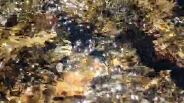 River Water Very Sunny Bright Day Water Reflects Light Heavily — Video Stock