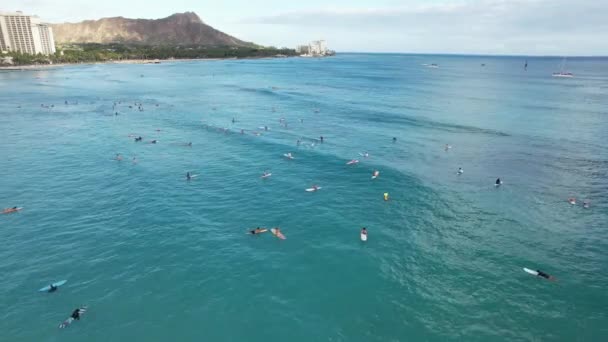 Μια Ομάδα Surfers Περιμένουν Πιάσει Κύματα Καθώς Κυλάνε Δημοφιλή Τοποθεσία — Αρχείο Βίντεο
