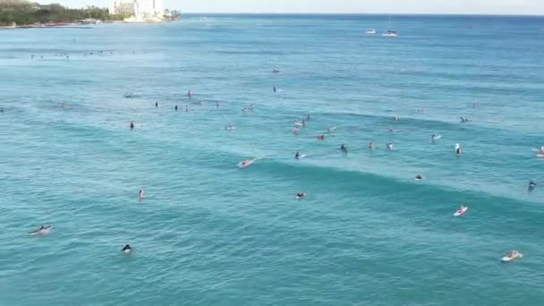Surfers Πιάσει Κύματα Μια Δημοφιλή Τροπική Παραλία Surfing Τοποθεσία — Αρχείο Βίντεο