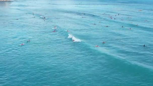 Aerial Drone Πλάνο Των Surfers Αλίευση Κύματα Ένα Τροπικό Νησί — Αρχείο Βίντεο