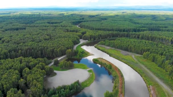 Drone Video Chena River Fairbanks Alaska — Stockvideo