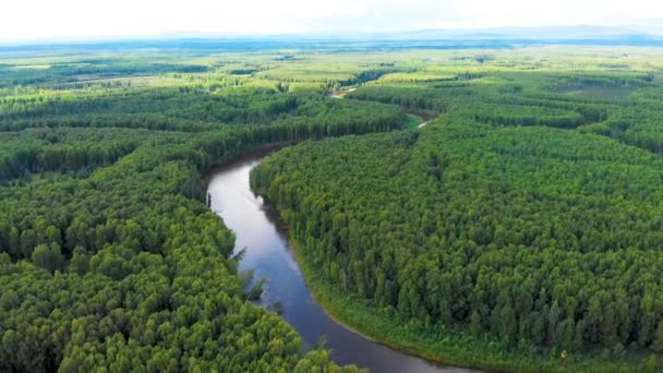 Drone Video Chena River Fort Wainwright Alaska — Vídeos de Stock