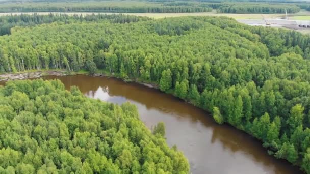 Drone Video Chena River Moose Creek Reservoir Park Fairbanks Alaska — Vídeos de Stock