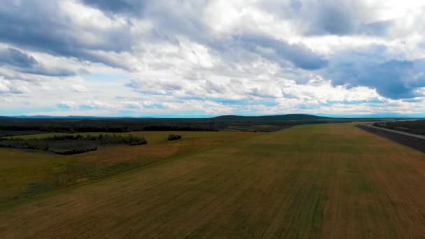 Drone Video Chena River Cutting Forest Fairbanks Alaska — Stok Video