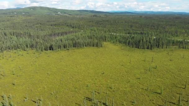 Drone Video Summer Tundra Wilderness Fairbanks Alaska — Vídeo de stock