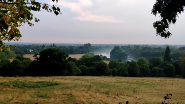 Panning Shot Thames River Richmond Area Downhill Grass Field All — Video Stock