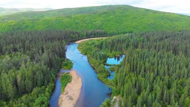 Drone Video Speed Beautiful Chena River Runs Pine Tree Covered — Video