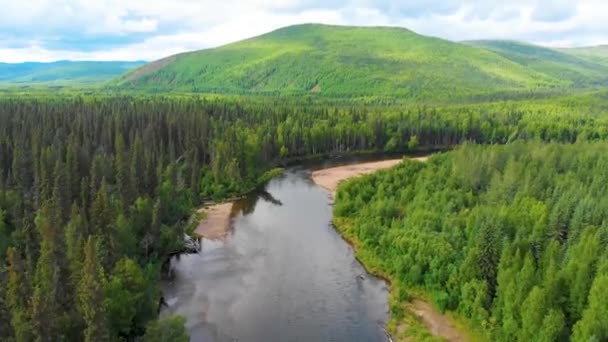 Drone Video Speed Beautiful Chena River Saat Berjalan Melalui Pine — Stok Video