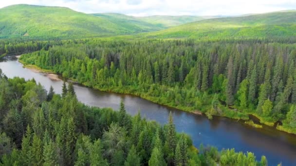 Drone Video Beautiful Bend Chena River Runs Pine Tree Covered — Stockvideo
