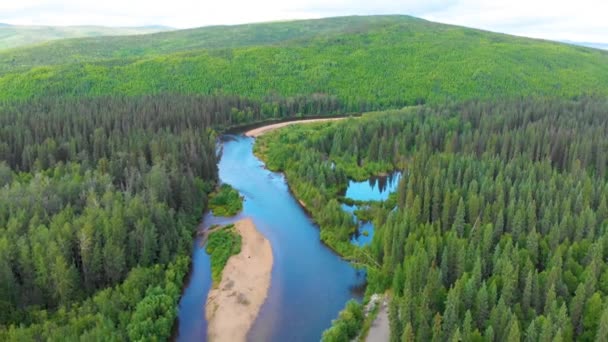 Drone Video High Elevation Beautiful Chena River Runs Pine Tree — Stockvideo