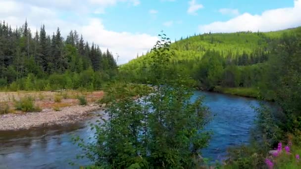 Drone Video Truck Left Shot Chena River Angel Rocks Trailhead — Stockvideo