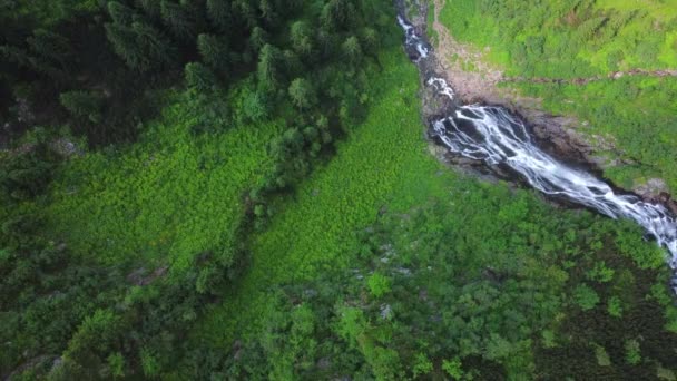 Aerial View Mountain Creek Mountains Summer Top Waterfall Drone Clip — 비디오