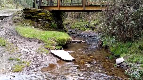 Shallow Narrow River Current Flowing Steadily Water Clear River Bed — Stockvideo