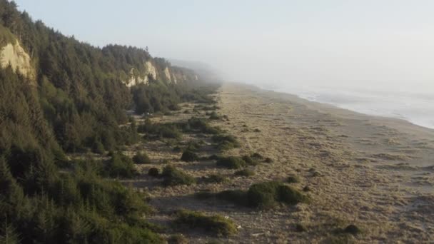 Straight Foward Moving Drone Shot Rural Beach Ocean Waves Redwood — Stockvideo