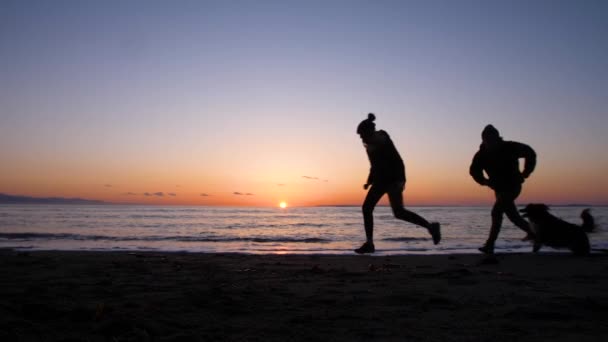 Silhouette Couple Dog Playing Beach — Vídeos de Stock