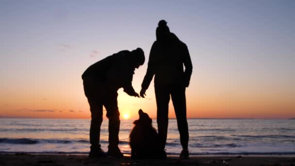 Silhouette Couple Playful Dog Beach — Stok video