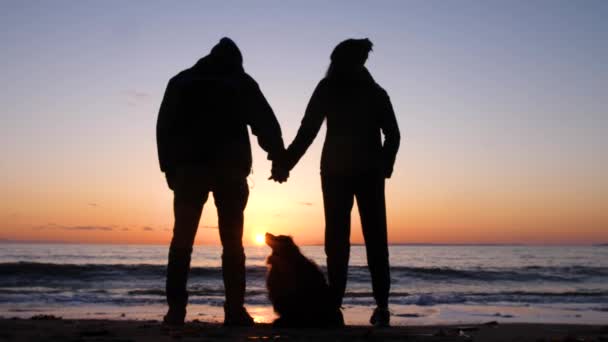 Silhouette Couple Beach Looking Lovingly Dog — Vídeo de stock