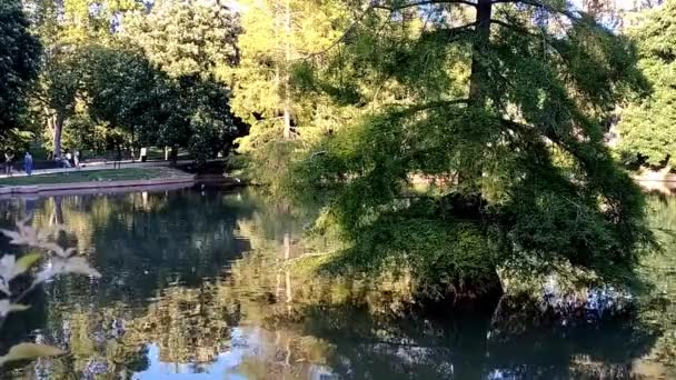 Small Pond Crystal Palace Building Retiro Park Madrid Spain Water — Stock Video