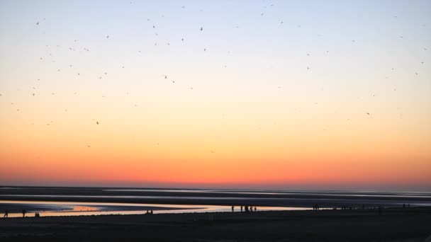 Cinematic Footage Beach Landscape Sunset — Stock Video