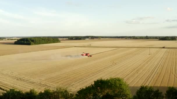 Kombajn Zbożowy Dron Powietrzny Uprawy — Wideo stockowe