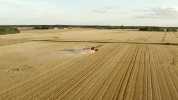 Cosechadora Drone Cultivos Aéreos — Vídeo de stock