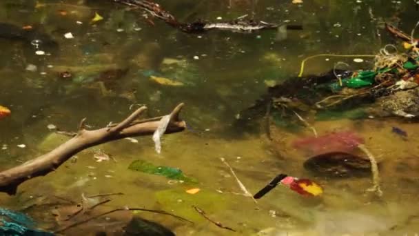 Dirty Contaminated Water Plastic Trash Microplastics Floating Surface Close — Vídeo de Stock