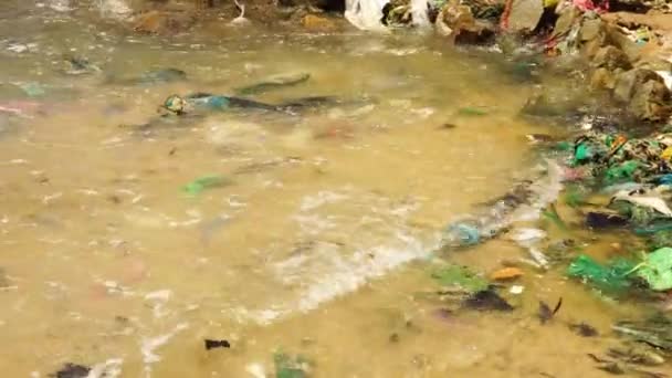Water Pollution Dirty Sea Shore Floating Plastic Trash Microplastics Waste — Stok video