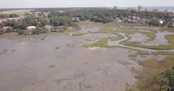 Inland Marsh South Carolina Coast — Stok video