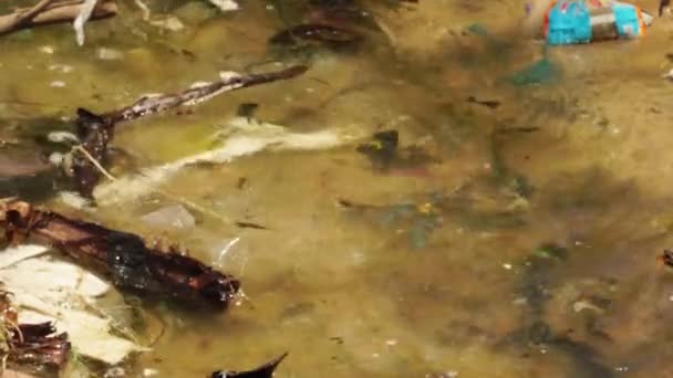 Polluted River Plastic Other Damaging Environmental Waste Brown Flowing Water — Stock video