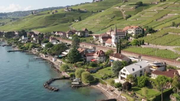 Aerial Beautiful Lakeside Houses Small Town Background — Vídeo de Stock