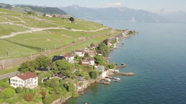 Aerial Houses Lake Beautiful Swiss Countryside — Vídeo de stock