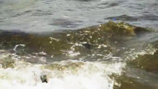Пан Правый Кадр Пляжной Волны Большим Количеством Мусора Пластика Плавающих — стоковое видео