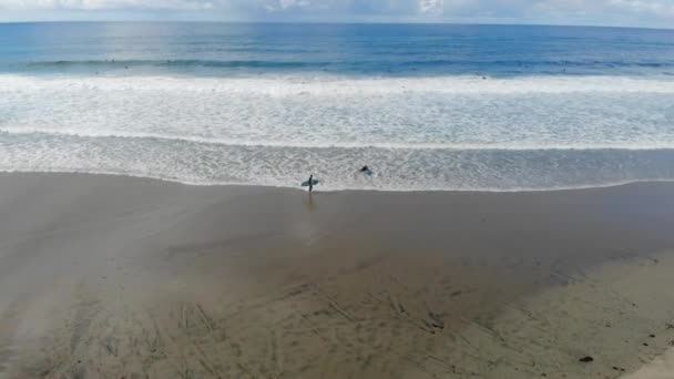 Drone Circles Surfer Who Just Finished Surfing Beach — Vídeo de Stock